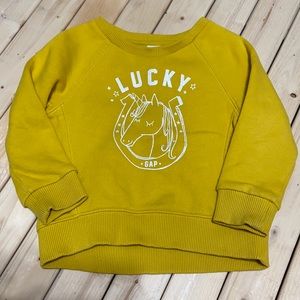 Gap toddler sweatshirt
